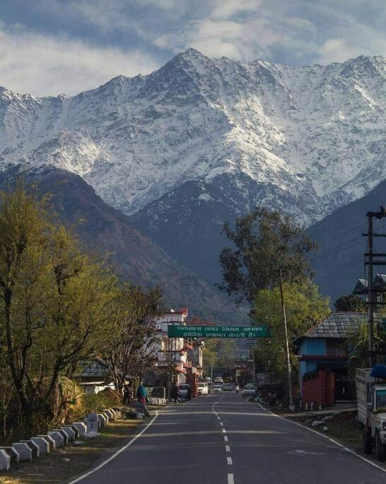 Aroma Taru Villa / Cottage ,Manali Dış mekan fotoğraf
