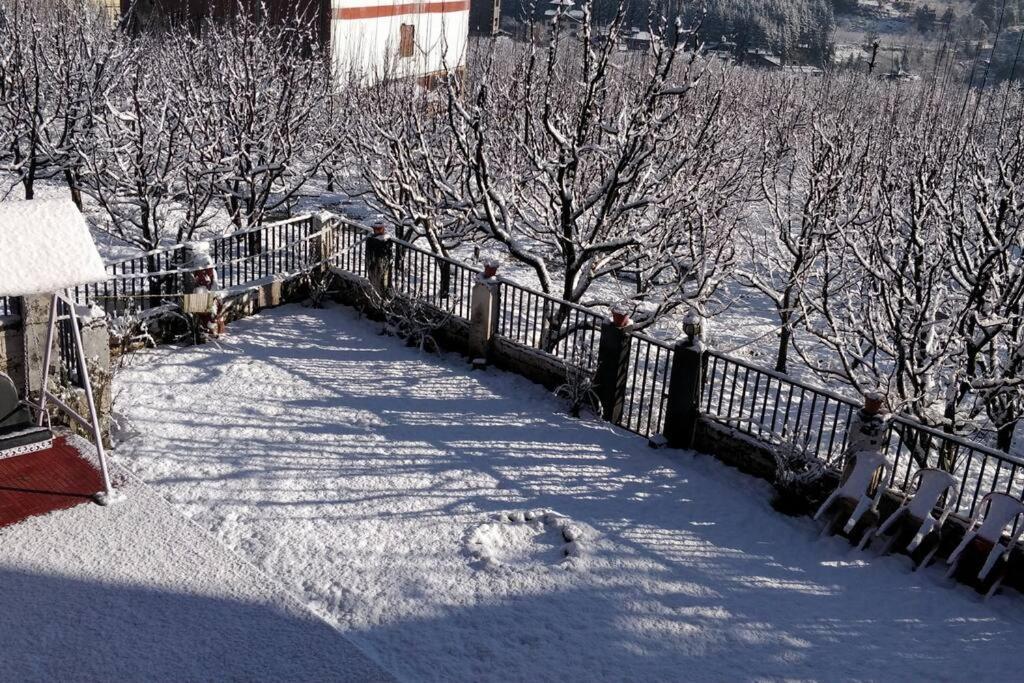Aroma Taru Villa / Cottage ,Manali Dış mekan fotoğraf