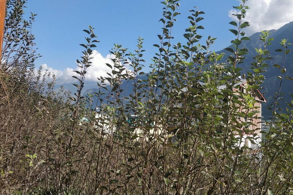 Aroma Taru Villa / Cottage ,Manali Dış mekan fotoğraf